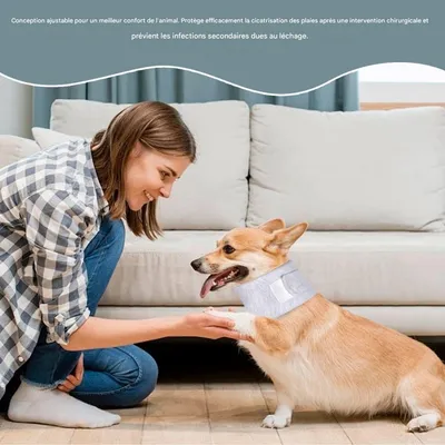 FurryFusion Postoperativer Schutzkragen für Hunde und Katzen
