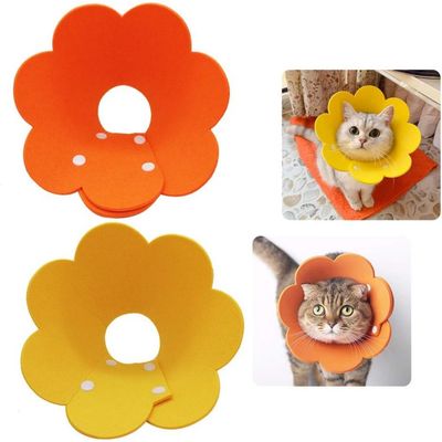 Zoomtopia Collier cône fleuri chat convalescence 2 pièces taille M