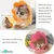 Zoomtopia Collier cône fleuri chat convalescence 2 pièces taille M Zoomtopia Collier cône fleuri chat convalescence 2 pièces taille M