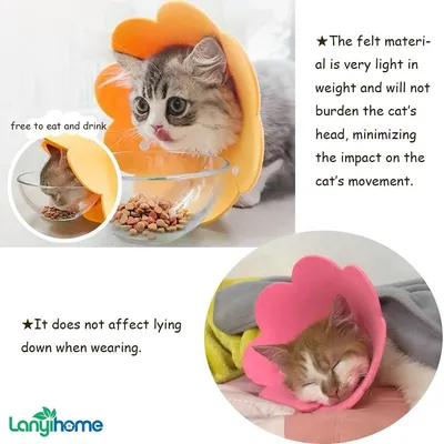 Zoomtopia Collier cône fleuri chat convalescence 2 pièces taille M Zoomtopia Collier cône fleuri chat convalescence 2 pièces taille M