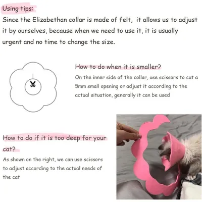 Zoomtopia Collier cône fleuri chat convalescence 2 pièces taille M Zoomtopia Collier cône fleuri chat convalescence 2 pièces taille M