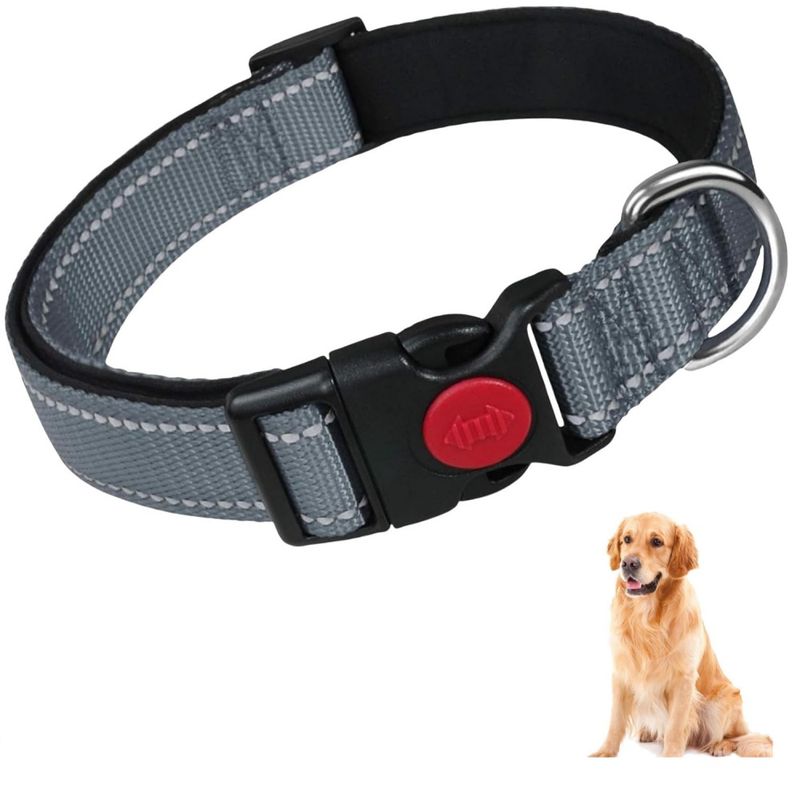 ZooVenture Hundehalsband Katze Reflektierend Nacht Grau XL