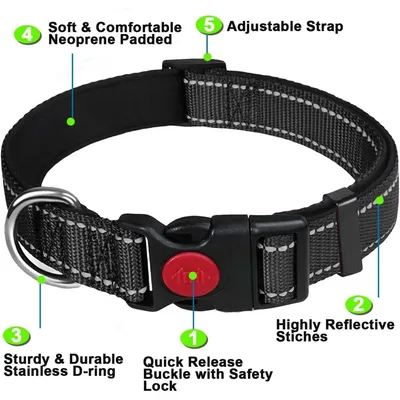 ZooVenture Collier Chien Chat Réfléchissant Nuit Gris XL