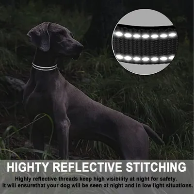 ZooVenture Collier Chien Chat Réfléchissant Nuit Gris XL