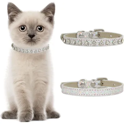 PetTribes Leder-Halsband mit Strass, Silber, 2er Set PetTribes Leder-Halsband mit Strass, Silber, 2er Set