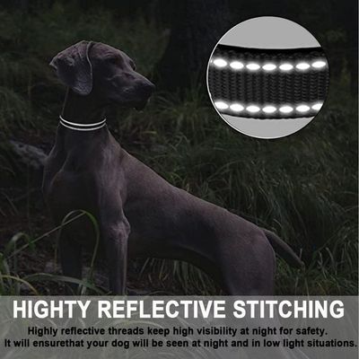 ZooVenture Collar reflectante de neopreno, talla S