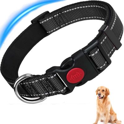 ZooVenture Hundehalsband Reflektierend Neopren S