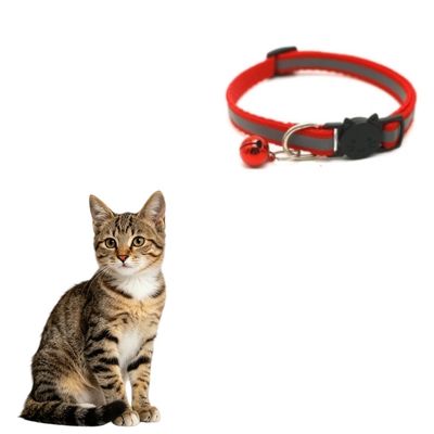 Anti-Strangulations-Halsband für Katzen – reflektierend, mit Glöckchen,