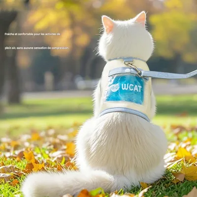 FurryFusion Zuggeschirr mit Kühlakku für Hunde und Katzen FurryFusion Zuggeschirr mit Kühlakku für Hunde und Katzen