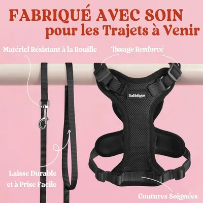 ZooVenture Harnais Chat Laisse - Taille XS, Réglable, Réfléchissant ZooVenture Harnais Chat Laisse - Taille XS, Réglable, Réfléchissant