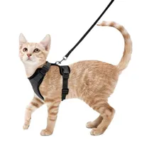 ZooVenture Harnais Chat Laisse - Taille XS, Réglable, Réfléchissant