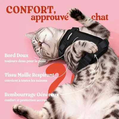 ZooVenture Harnais Chat Laisse - Taille XS, Réglable, Réfléchissant ZooVenture Harnais Chat Laisse - Taille XS, Réglable, Réfléchissant
