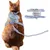 Harnais Chat PetTribes Blau Design Bienen Einstellbar Harnais Chat PetTribes Blau Design Bienen Einstellbar
