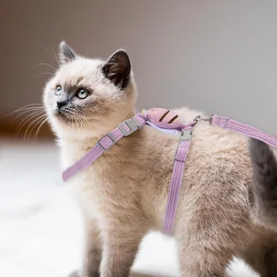 Harnais Chat PetTribes Mauve Design Abeille et Laisse Ajustable