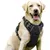 ZooVenture Harnais Chien Anti-Traction - 3 Boucles, Réglable ZooVenture Harnais Chien Anti-Traction - 3 Boucles, Réglable