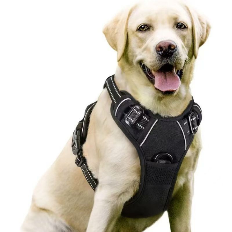 ZooVenture Anti-Zug-Hundegeschirr – 3 Schnallen, verstellbar