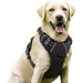 ZooVenture Anti-Zug-Hundegeschirr – 3 Schnallen, verstellbar