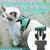 FurryFusion Katzen-Zuggeschirr FurryFusion Katzen-Zuggeschirr