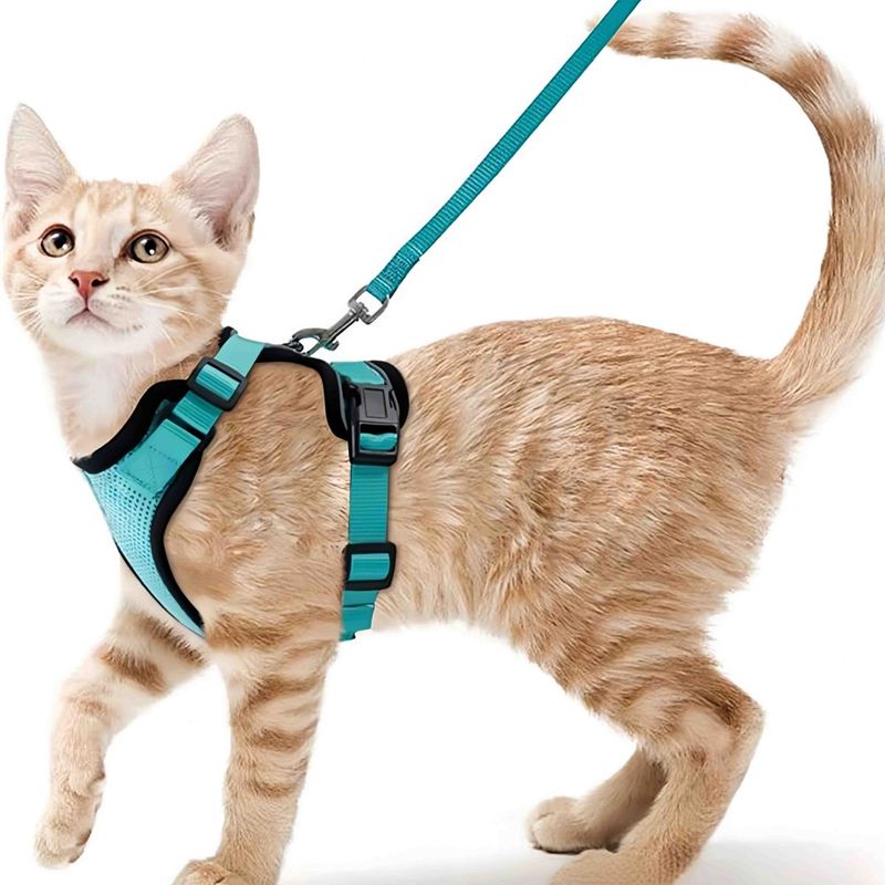 FurryFusion Katzen-Zuggeschirr