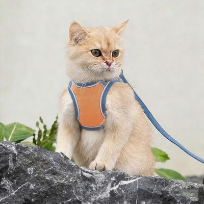 ZooVenture Arnés antiescape para gatos - Transpirable, ajustable, correa