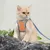 ZooVenture Harnais Chat Anti-Fuite - Respirant, Ajustable, Laisse