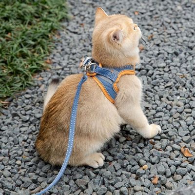 ZooVenture Katzen Geschirr Ausbruchsicher - Atmungsaktiv, Verstellbar