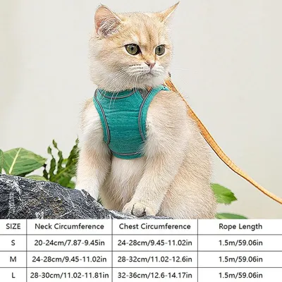 ZooVenture Harnais Chat Anti-Fuite - Respirant, Ajustable, Laisse
