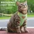 Zoomtopia Harnais chat anti-fuite avec laisse vert taille M