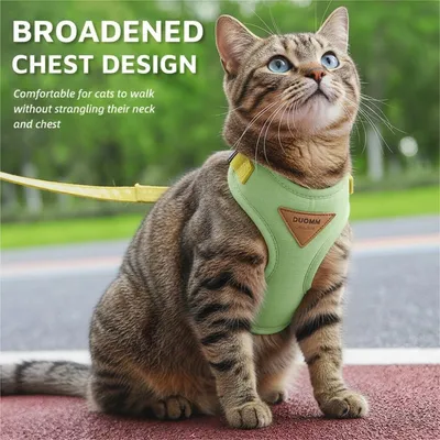 Zoomtopia Harnais chat anti-fuite avec laisse vert taille M