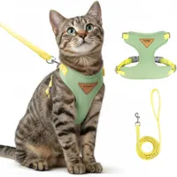 Zoomtopia Harnais chat anti-fuite avec laisse vert taille M