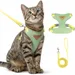 Zoomtopia Harnais chat anti-fuite avec laisse vert taille M