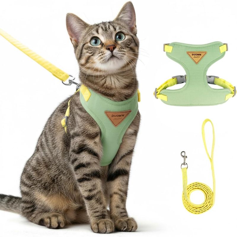 Zoomtopia Harnais chat anti-fuite avec laisse vert taille M