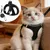 PetTribe Harnais+Laisse Chat, Réfléchissant, Promenades Sûres - Rose