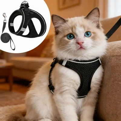 PetTribe Harnais+Laisse Chat, Réfléchissant, Promenades Sûres - Rose