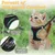 PetTribe Harnais+Laisse Chat, Réfléchissant, Promenades Sûres - Rose