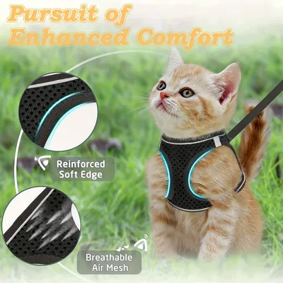 PetTribe Harnais+Laisse Chat, Réfléchissant, Promenades Sûres - Rose