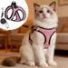PetTribe Geschirr + Leine für Katzen, reflektierend – Rosa