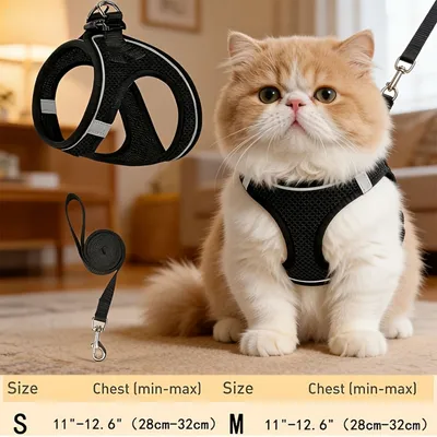 PetTribe Harnais+Laisse Chat, Réfléchissant, Promenades Sûres - Rose