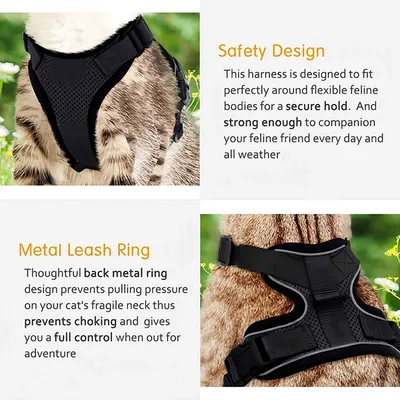 FurryFusion Katzen-Zuggeschirr FurryFusion Katzen-Zuggeschirr