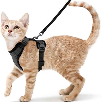 FurryFusion Katzen-Zuggeschirr
