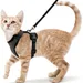 FurryFusion Katzen-Zuggeschirr
