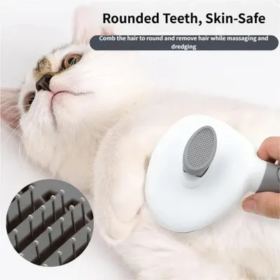 PetTribes Brosse Démêlante Chat Chien, Aiguilles Inox, 1 Bouton PetTribes Brosse Démêlante Chat Chien, Aiguilles Inox, 1 Bouton