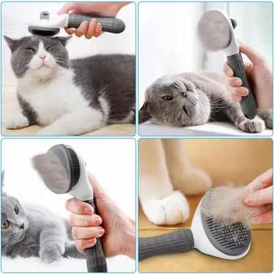PetTribes Brosse Démêlante Chat Chien, Aiguilles Inox, 1 Bouton PetTribes Brosse Démêlante Chat Chien, Aiguilles Inox, 1 Bouton