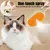 PetTribes Brosse Vapeur 3 en 1 Chat PetTribes Brosse Vapeur 3 en 1 Chat