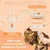 PetTribes Brosse Vapeur 3 en 1 Chat PetTribes Brosse Vapeur 3 en 1 Chat