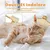 ZooVenture Brosse Élimination Poils Chat ZooVenture Brosse Élimination Poils Chat