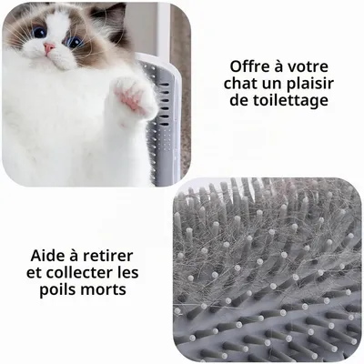 HausPets Brosse auto toilettage pour chats, pack de 2 HausPets Brosse auto toilettage pour chats, pack de 2