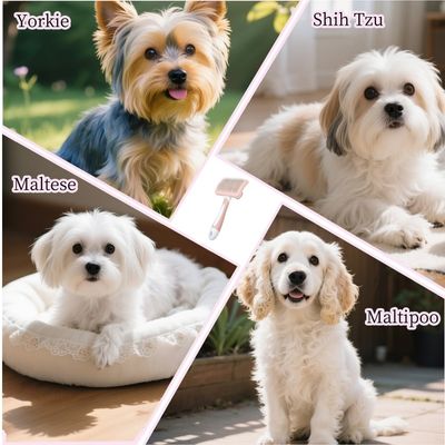 PetTribes Brosse Auto-Nettoyante Chiens Petits Poils Longs, Rose
