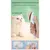 PetTribes Brosse Auto-Nettoyante Chiens Petits Poils Longs, Rose PetTribes Brosse Auto-Nettoyante Chiens Petits Poils Longs, Rose