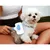ZooVenture Peigne Toilettage Chat Chien - Inox, Ergonomique ZooVenture Peigne Toilettage Chat Chien - Inox, Ergonomique